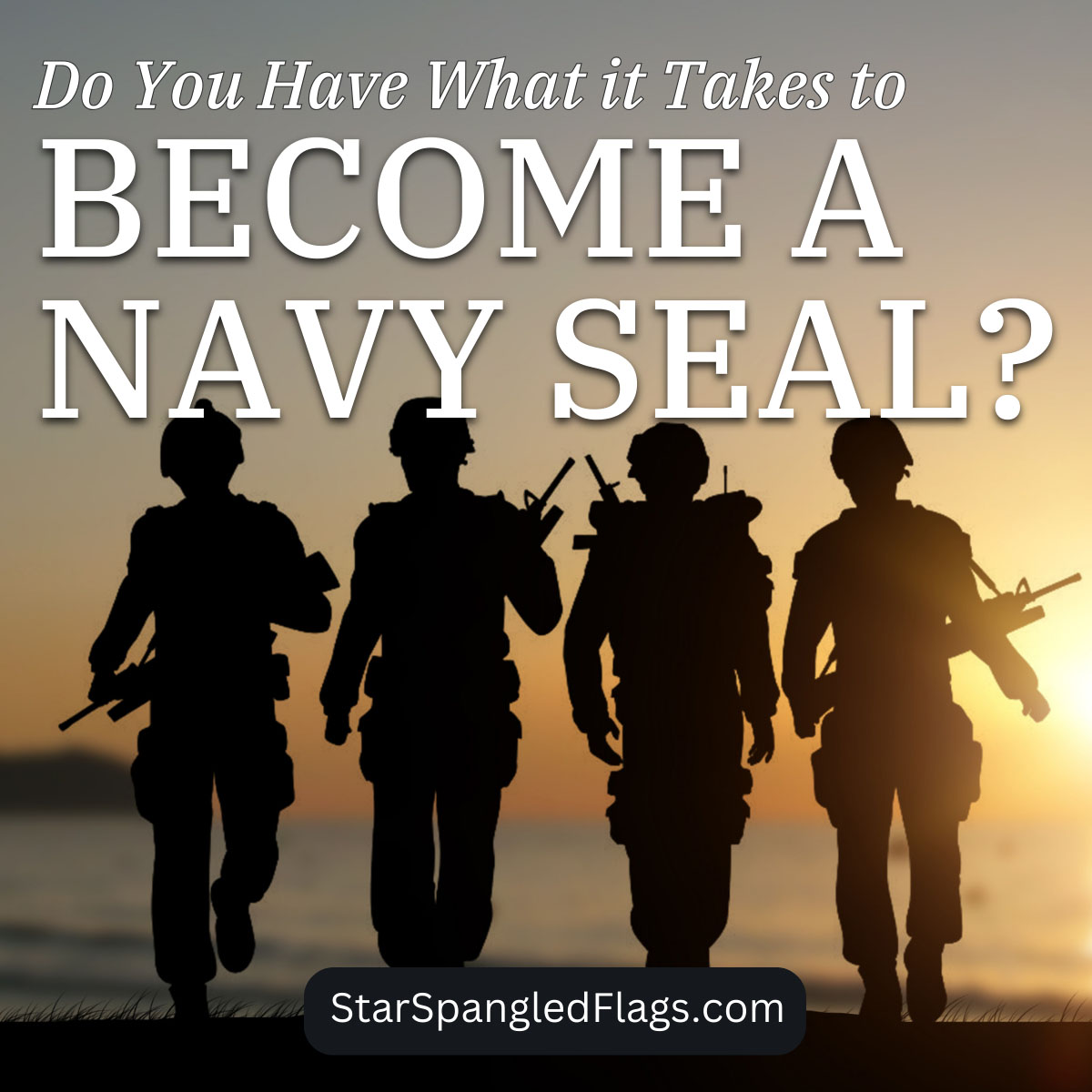 Do You Have What it Takes to Become a Navy SEAL