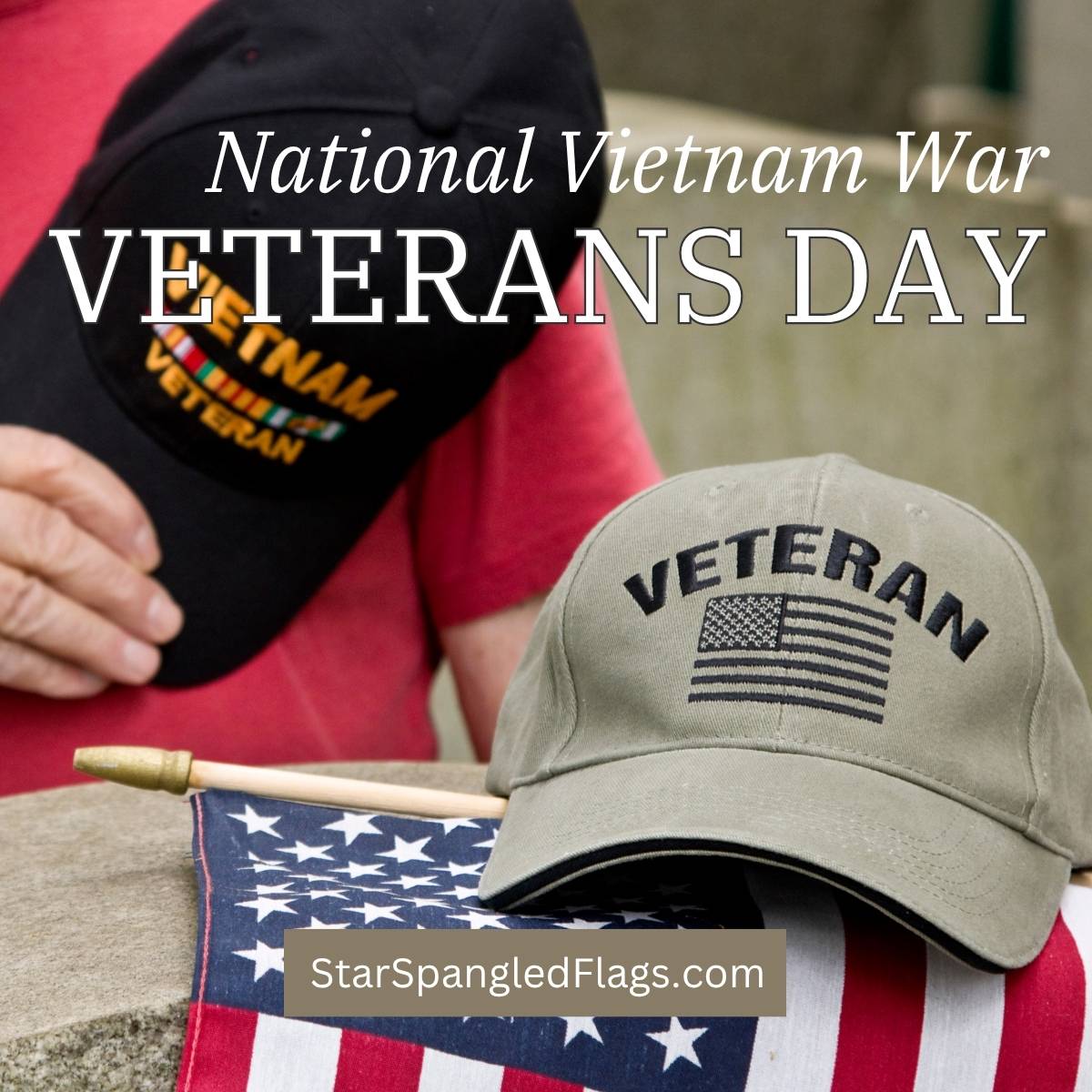 Vietnam War Veterans Day history and memorial