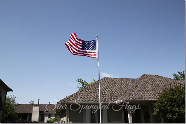 flag flying on flagpole