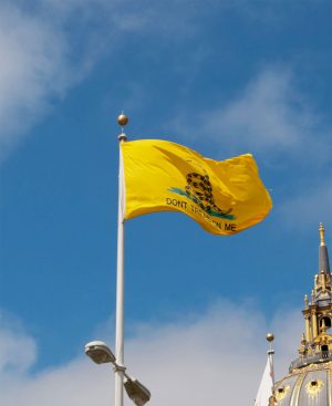 Gadsden flag nylon