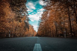 road-2925075_960_720223